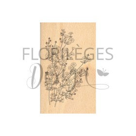 Tampon bois - Fleurettes sauvages Tampon bois - Fleurettes sauvages