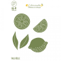 HA.PI Little fox - Die Citrons