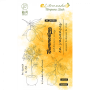 Tampons clear - Citronnier