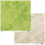 HA.PI Little fox - Citronnade - N°8