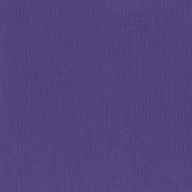 Bazzill Purple pizzazz Bazzill Purple pizzazz