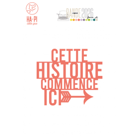 HA.PI Little fox - Die Cette histoire