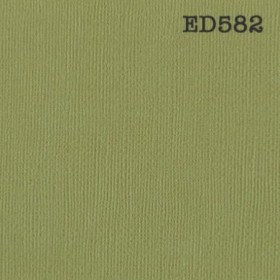 Cardstock uni - vert kiwi Cardstock uni - vert kiwi