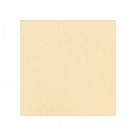 Bazzill Pigment (lisse) Bazzill Pigment (lisse)