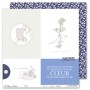 Pack collection Delft
