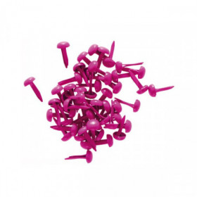 Petits brads fushia Petits brads fushia