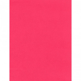 AC Cardstock - Raspberry A4 AC Cardstock - Raspberry A4