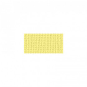 AC Cardstock - Canary AC Cardstock - Canary
