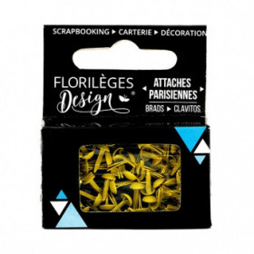 Mini attaches parisiennes Mimosa Mini attaches parisiennes Mimosa